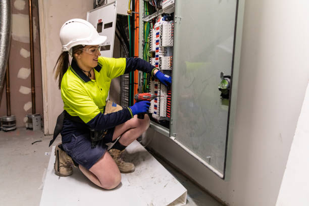 Best Electric Panel Repair  in Epworth, IA